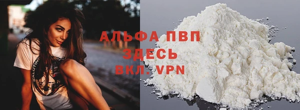 spice Аркадак