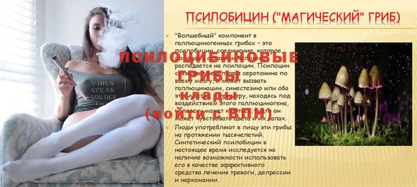 крисы Армянск