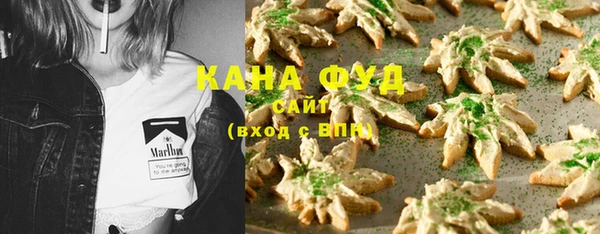 индика Саяногорск