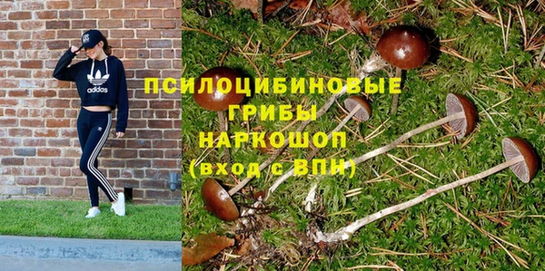 spice Аркадак