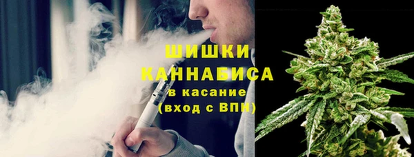 spice Аркадак